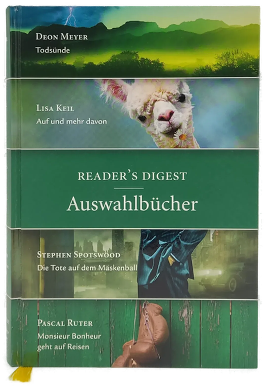 Buch 