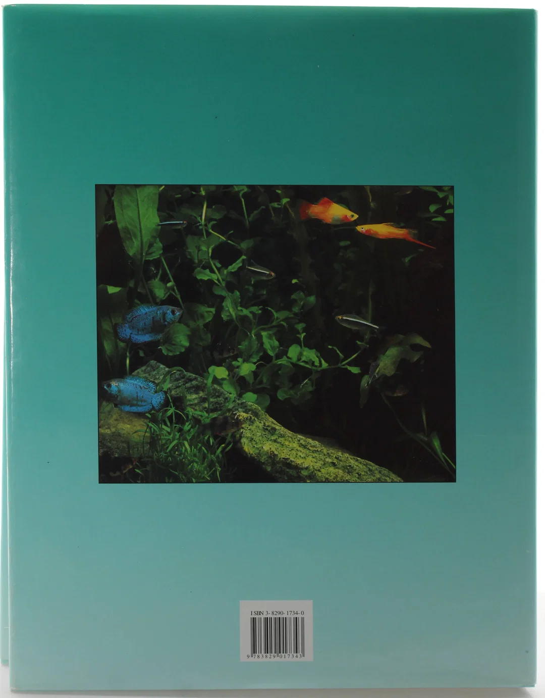 Buch Der große Aquarienführer – Fische, Pflanzen und Zubehör für Ihr Aquarium – Bild 2