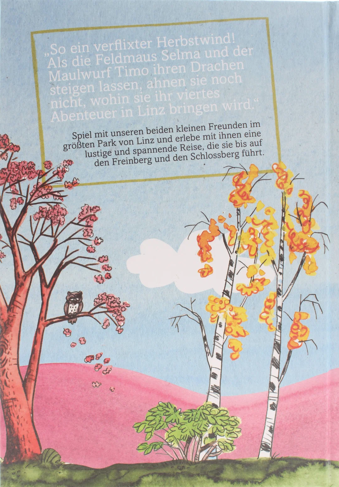 Buch Konvolut Kinderbücher „Timo und Selma“ – 3x Stadt-Geschichte – Hardcover – Linz Abenteuer – Klaus Luger – Bild 7