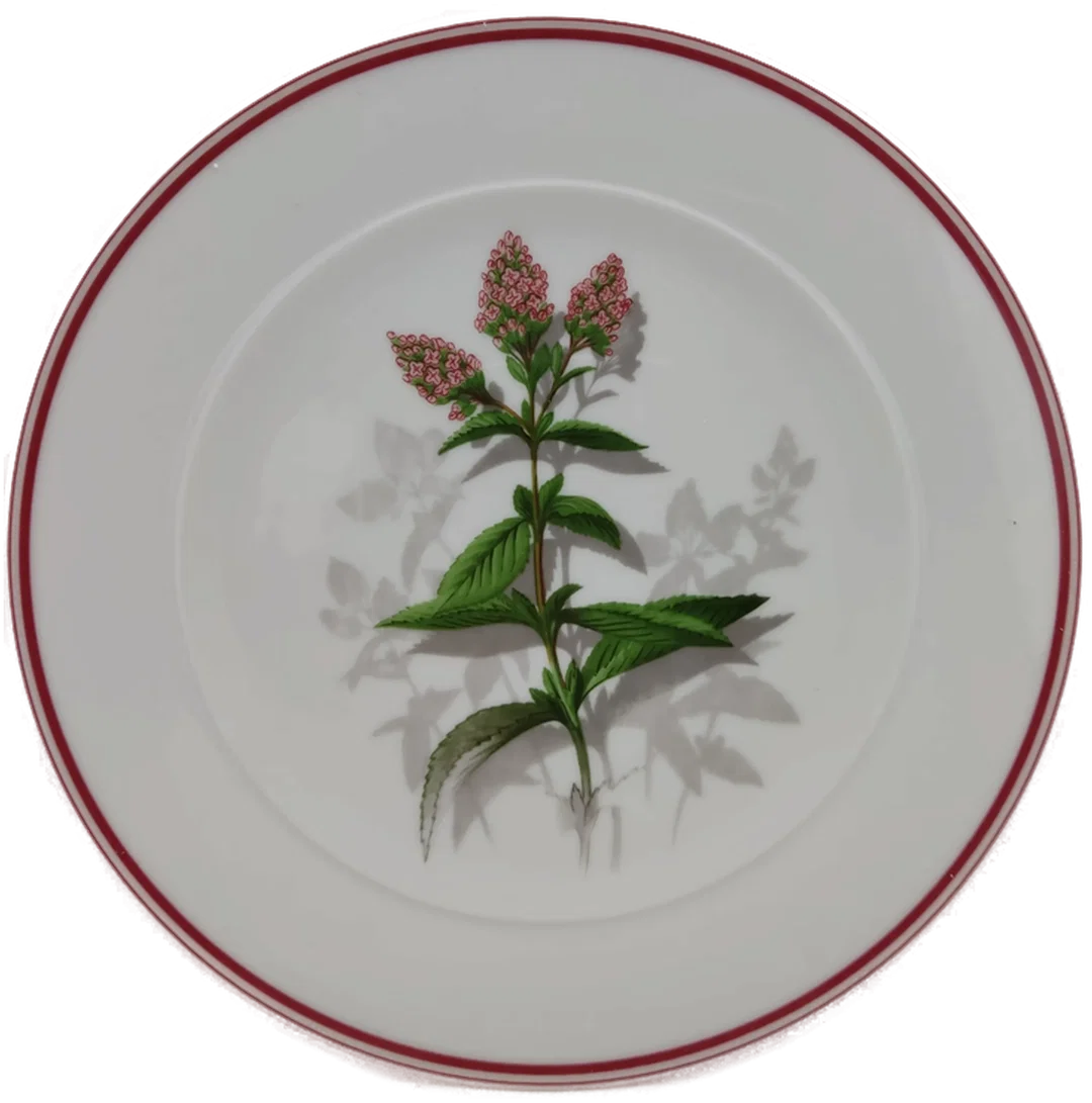 Suisse Langenthal Gebro Fieberbrunn Wandteller Nr. 2284 - Bild 1