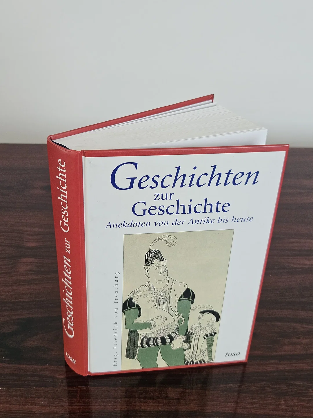 Geschichten zur Geschichte - Friedrich von Trostburg (Hrsg.) – Bild 1