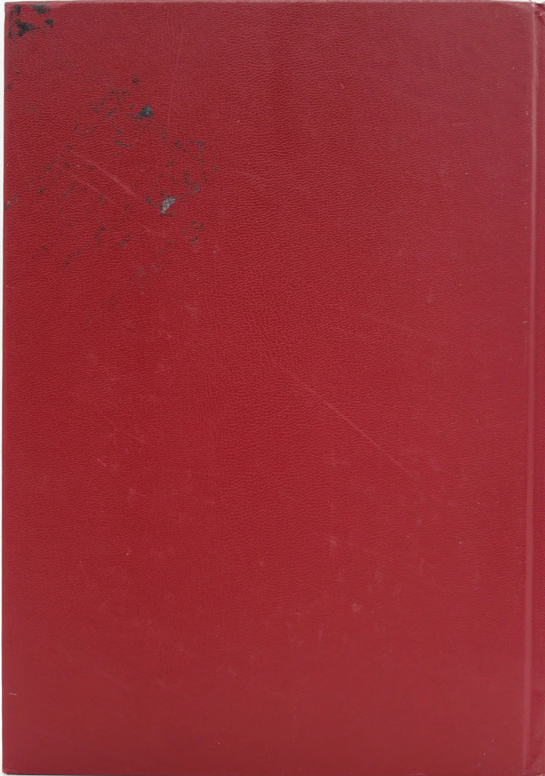 Buch Weltbild Bibel mit geprägtem Messingeinband | Illustrationen von Gustave Doré – Bild 2