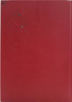 Buch Weltbild Bibel mit geprägtem Messingeinband | Illustrationen von Gustave Doré - Bild 2