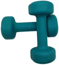 Hanteln Proiron 3 kg | Heimstudio-Begleiter – Vorschau 4