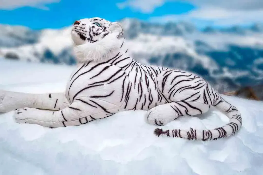  Stofftier Schneetiger Kuscheltier XXL - Bild 4