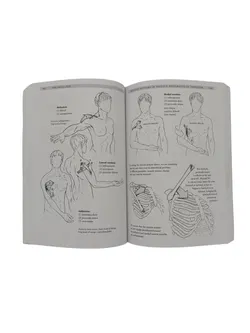 Blandine Calais-Germain - Anatomy of Movement - Bild 3