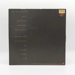 Vinyl LP Tracy Chapman 1988 | Ikone - Bild 2