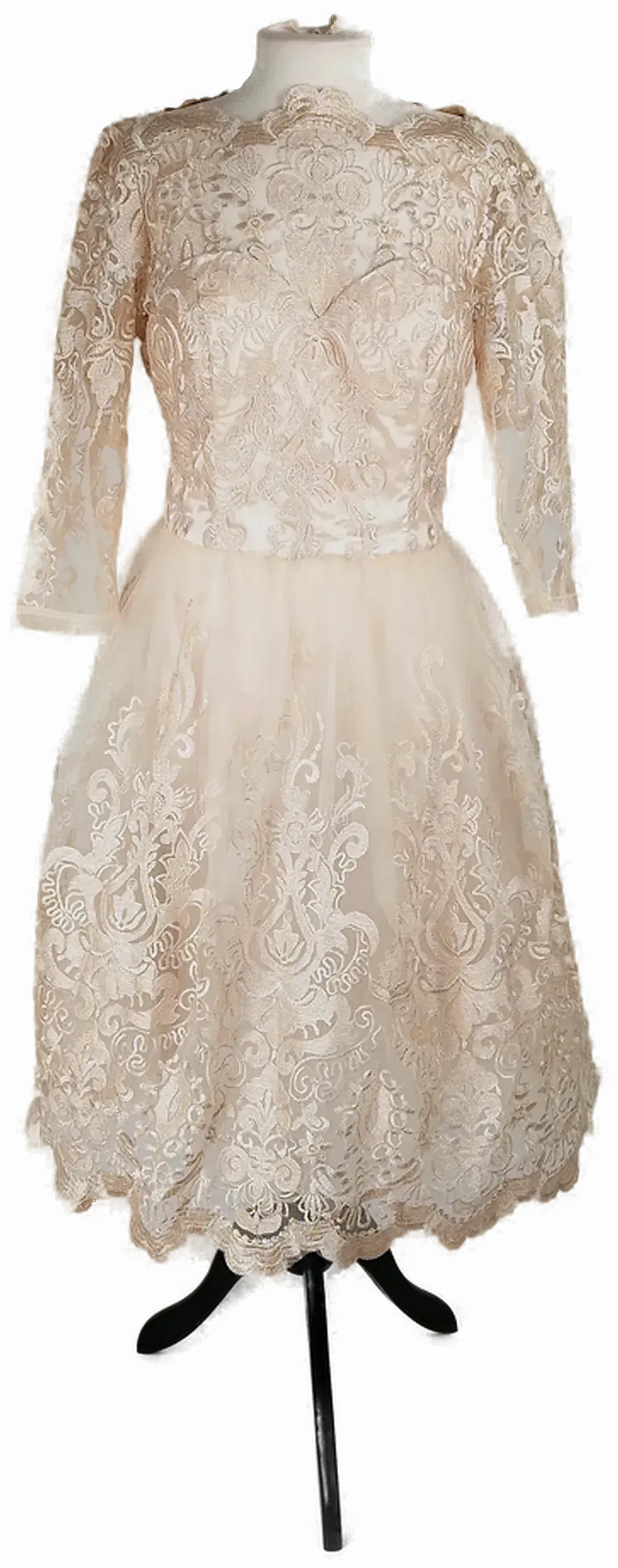 Spitzenkleid Chi Chi London Champagner | Festlicher Charme - Bild 4