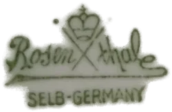 11 Stk. Rosenthal Speiseteller - Bild 5