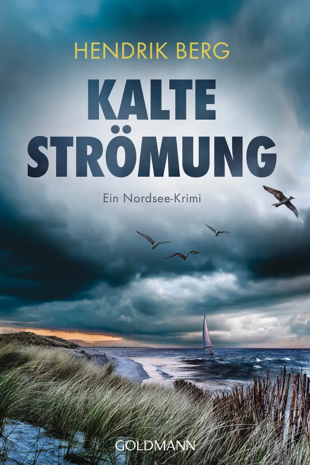 Kalte Strömung - Hendrik Berg - Bild 1