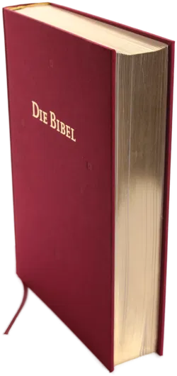 Buch 