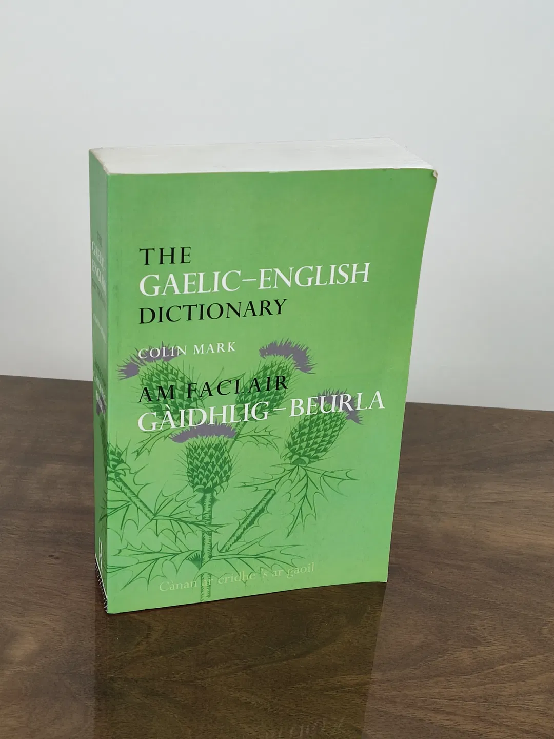 The Gaelic-English Dictionary / Am Faclar Gàidhlig-Beurla - Colin Mark - Bild 2
