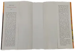 Sein Name war Parrish - Mildred Savage - Bild 2