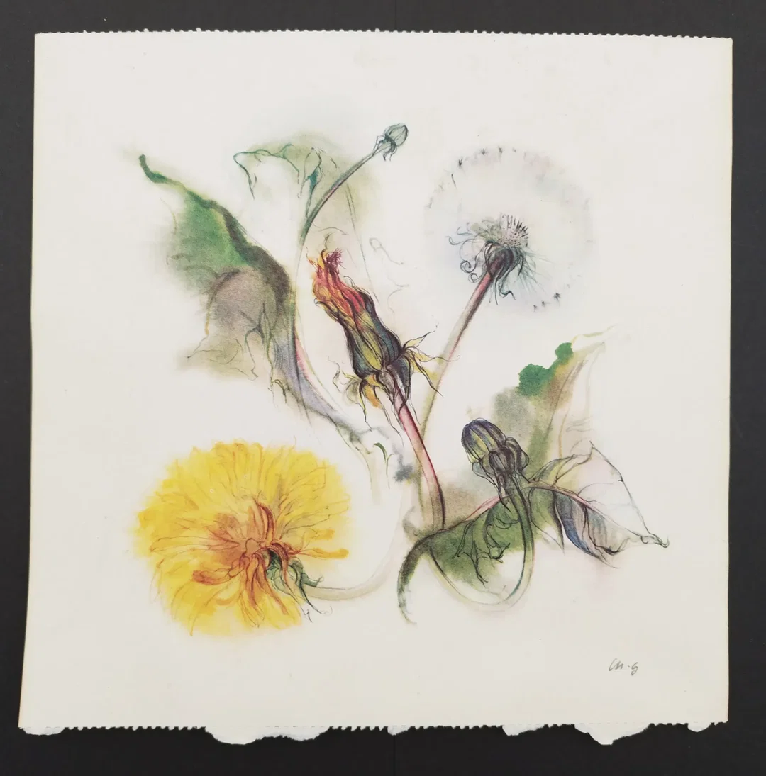 Ellen Gibis: Aquarellmalerei von Blumen - KOPIE - Bild 4