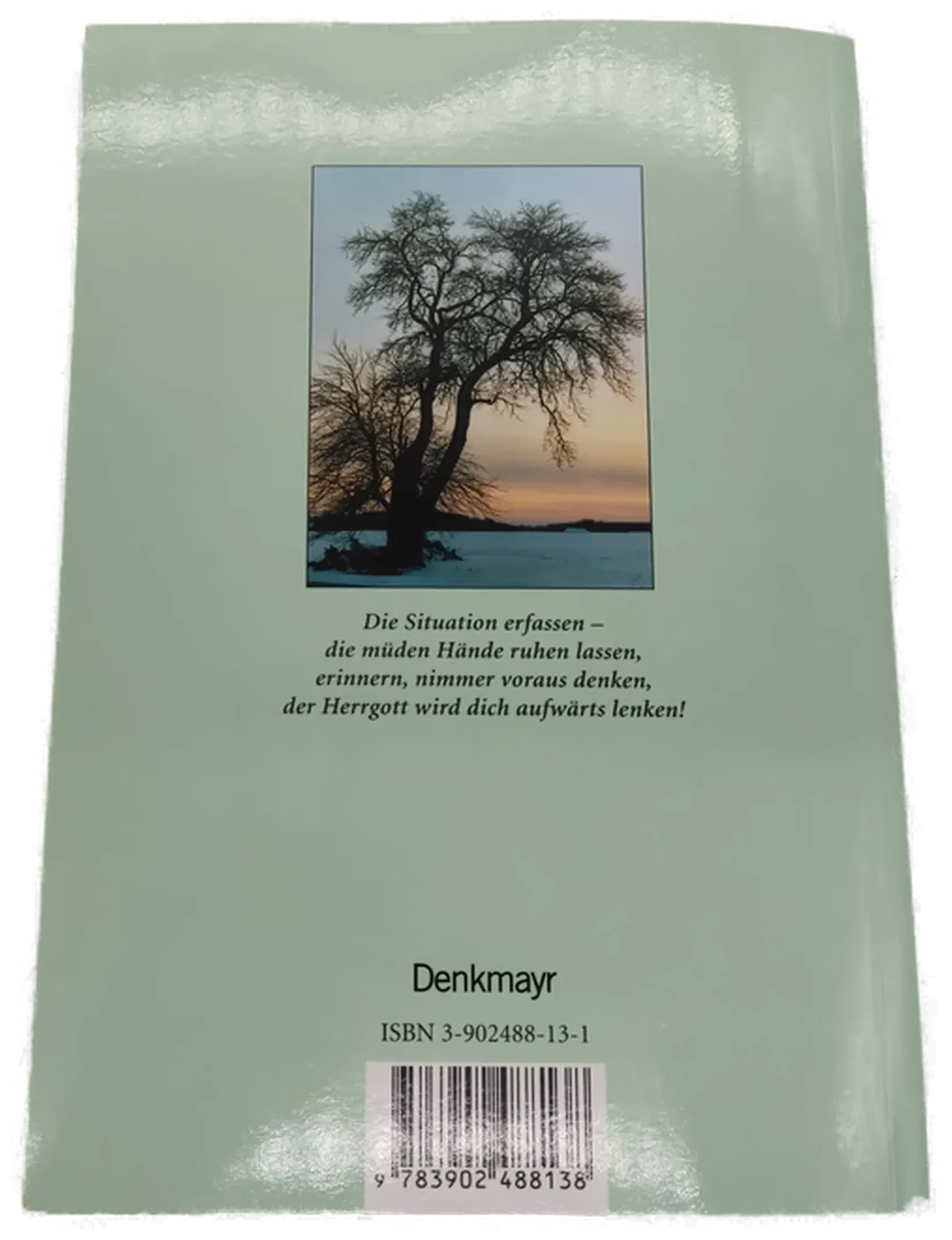 Buch "Meines Lebens MEILEN STEINE" von Leopold Wandl mit persönlicher Widmung des Künstlers – Bild 5