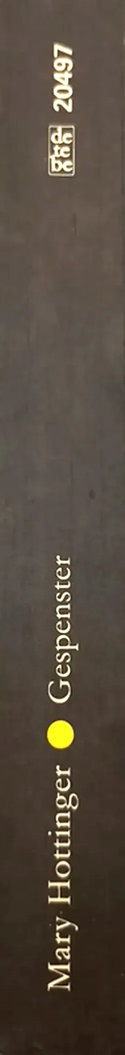 Gespenster - Marie D. Hottinger - Bild 2