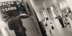 Arbus, Friedlander, Winogrand - Bild 2