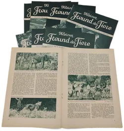 Zeitschrift Kleiner Freund der Tiere 1953 - 1956 - 8 Ausgaben - Bild 2