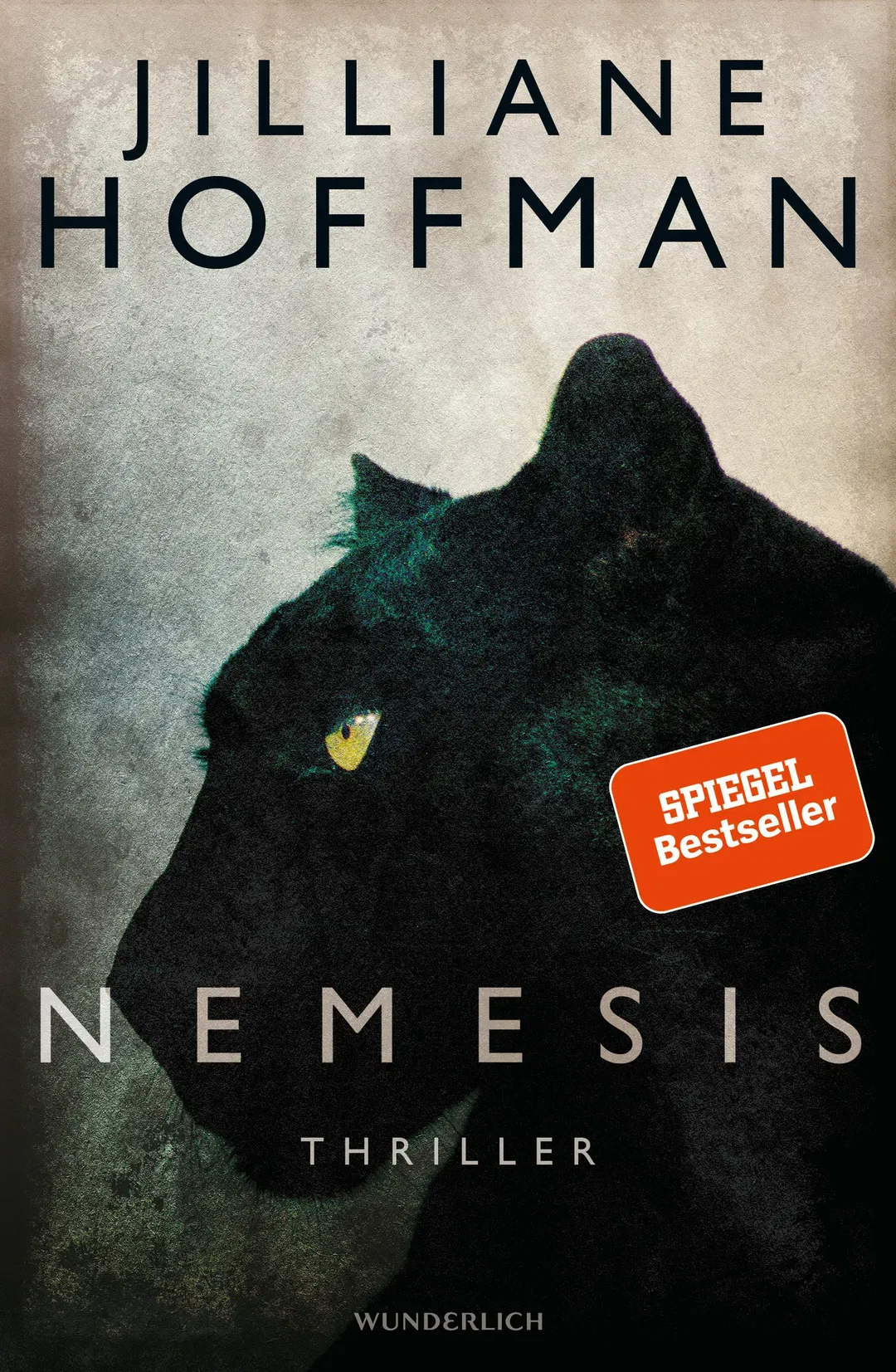 Nemesis - Jilliane Hoffman - Thriller - Bild 2