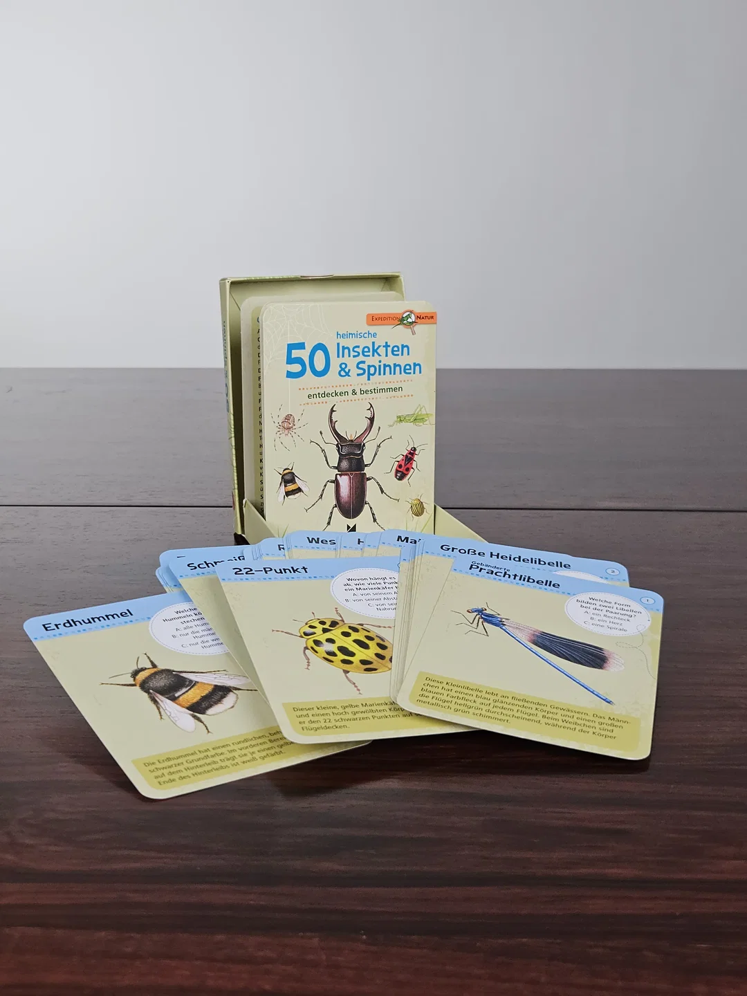 Heimische 50 Insekten & Spinnen. entdecken & bestimmen - Gesellschaftsspiele - Moses – Bild 4
