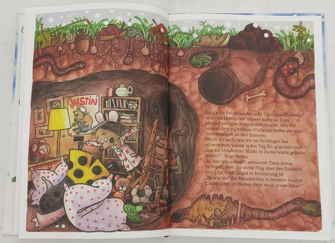 Buch "Eine verschneite kleine Stadt-Geschichte - Tierischer Winterspaß in Linz" – Bild 5