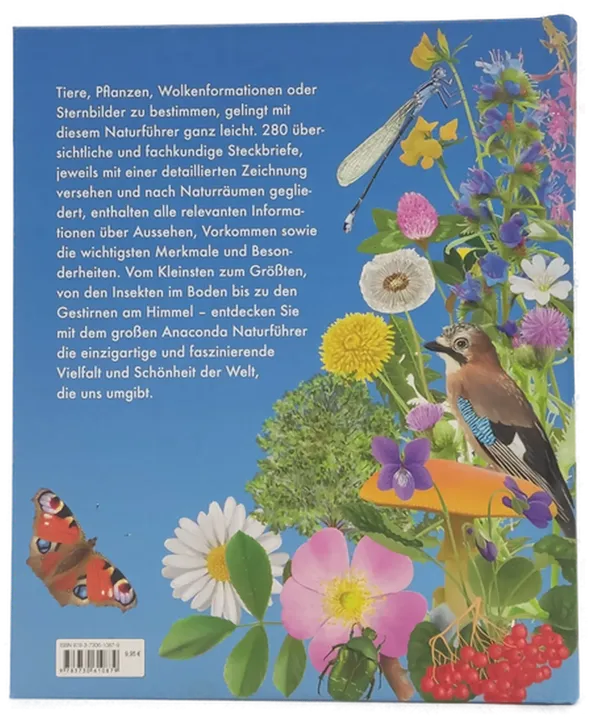 Buch 