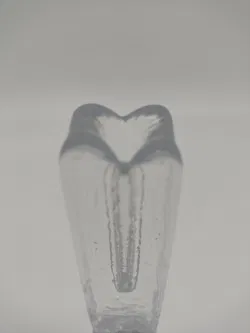 Glas Rosenvase - Bild 2