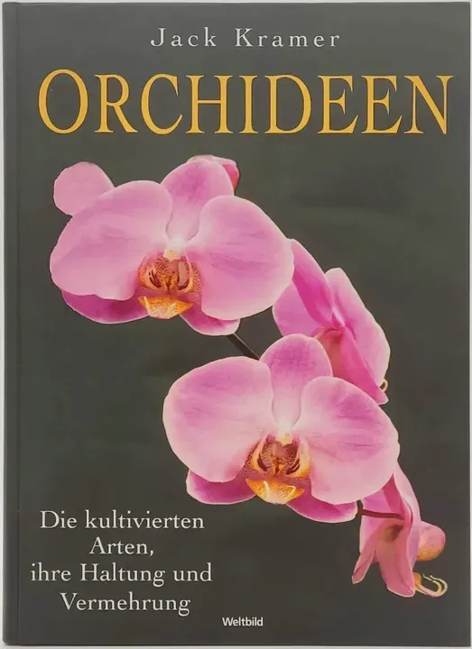 Buch 