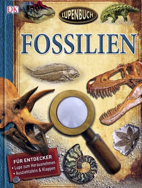 Kinderbuch Fossilien – Bild 1