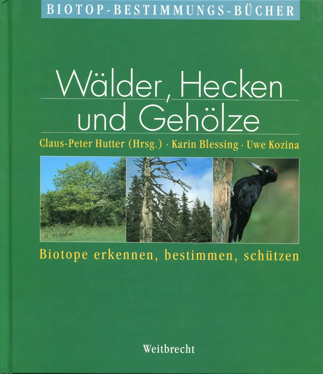 Wälder, Hecken und Gehölze - Karin Blessing,Uwe Kozina - Bild 2