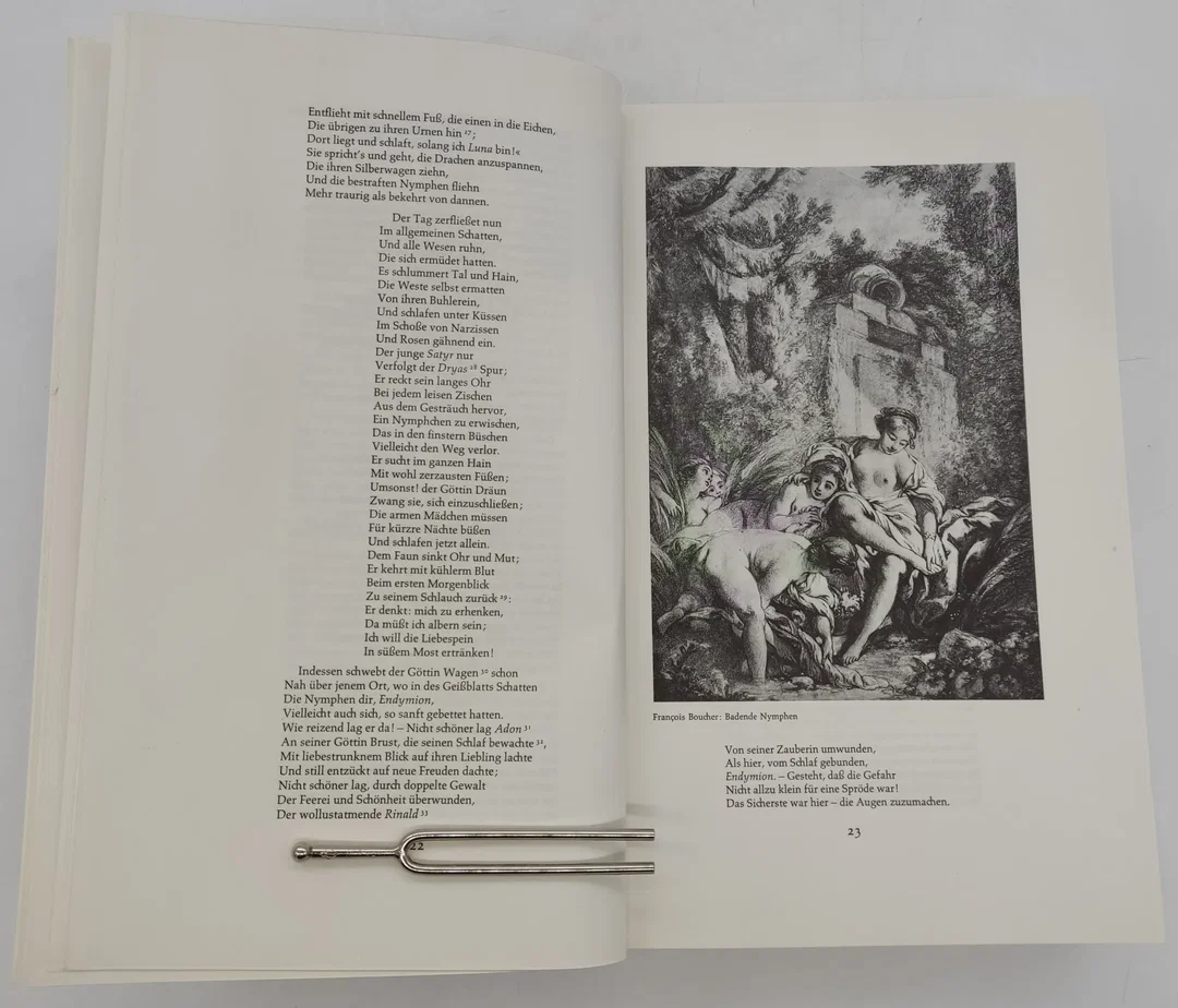 Buch "Geist und Sitten des Rokoko" von Franz Blei 1923 – Bild 4