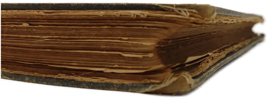 Antikes Buch "An der schönen blauen Donau" – Bild 2
