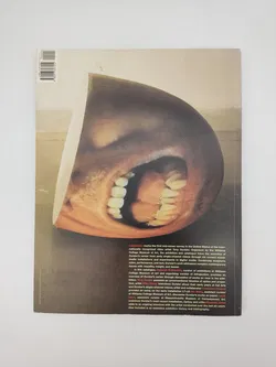 Tony Oursler Introjection, Mid-career Survey, 1976-1999  - Tony Oursler,Deborah Menaker Rothschild - Bild 2