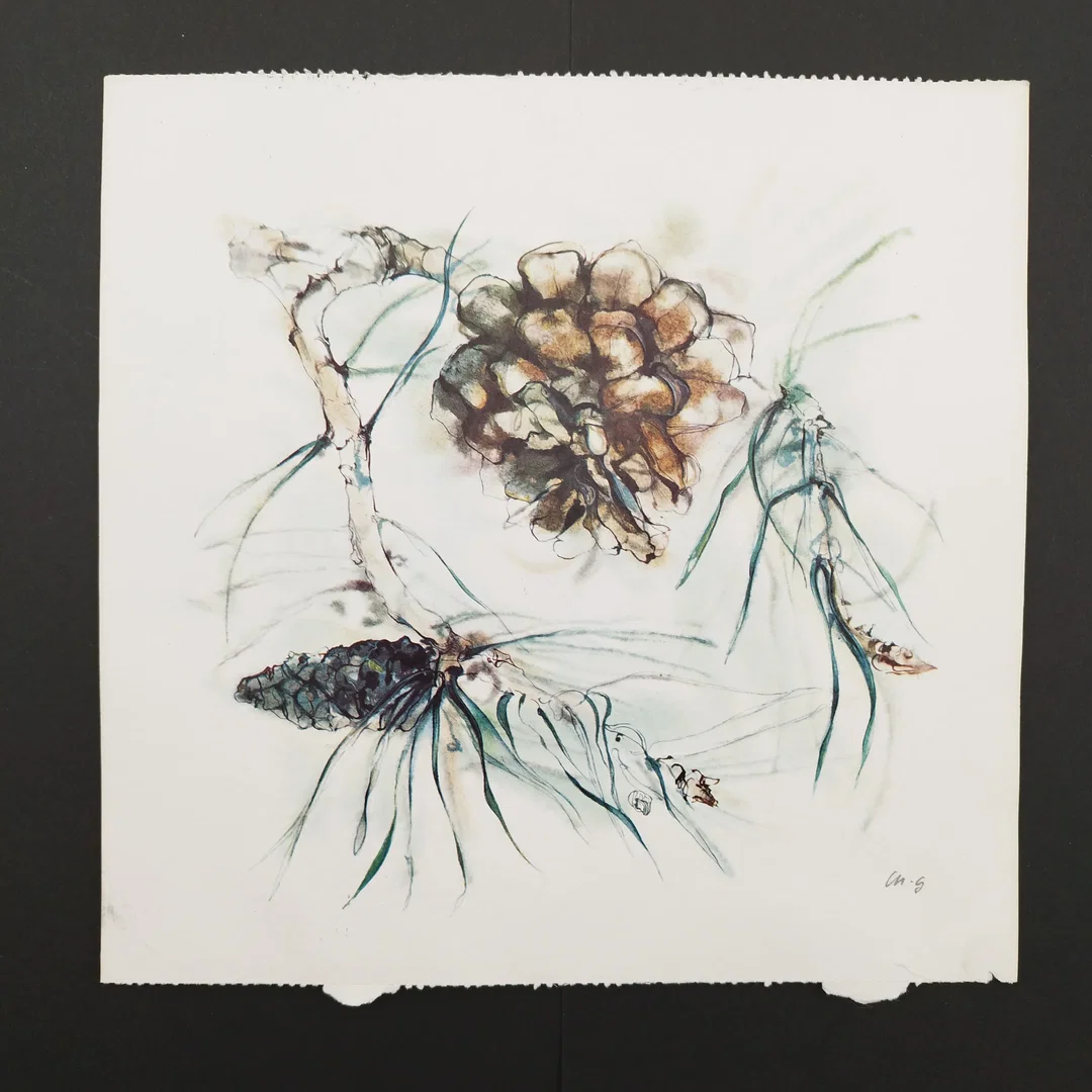 Ellen Gibbis: Aquarellmalerei - KOPIE - Bild 4