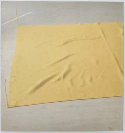 Erwin Wurm - Wiener Zimmer - Bild 2