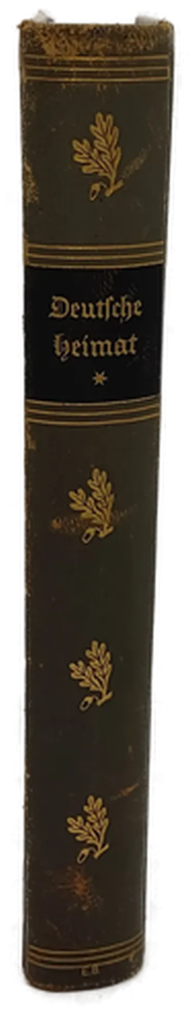 Buch  "Deutsche Heimat" Bilder aus Stadt u. Land Band 1 von 1926  – Bild 8