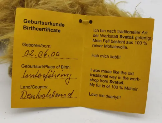 MS Bären - Löwe Leo – Bild 5