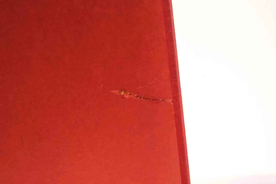 Die Heilige Schrift  – Bild 8