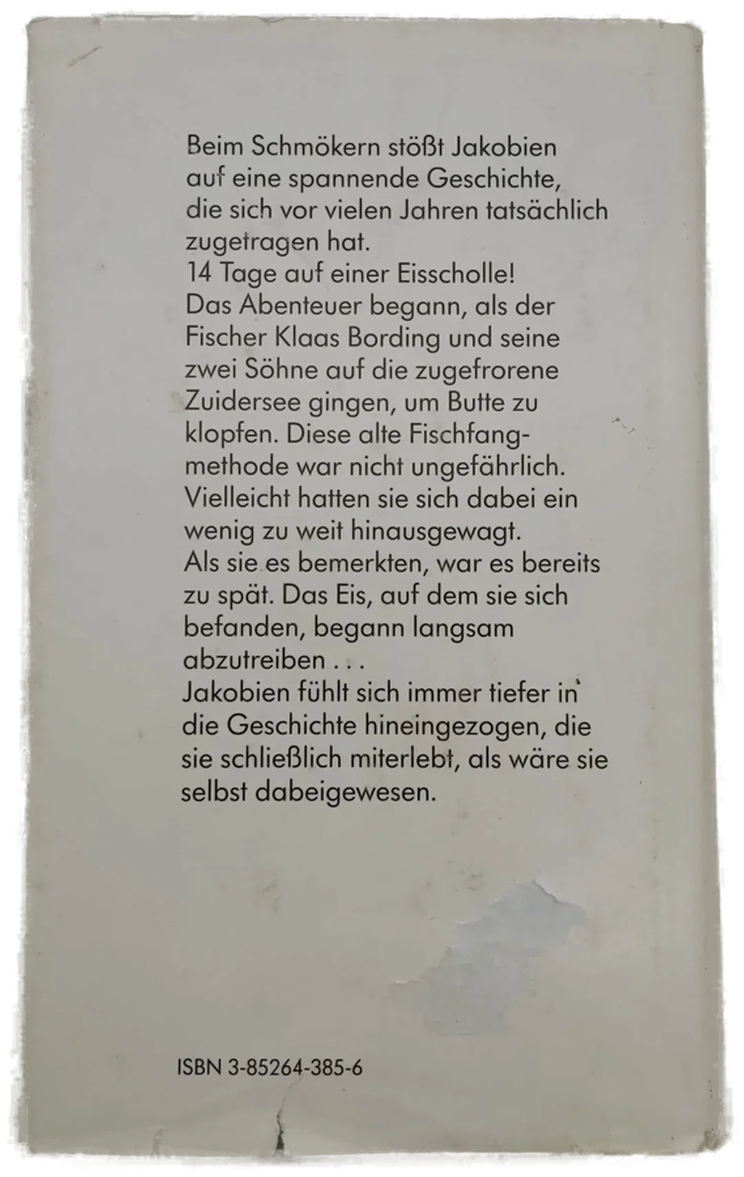 Treibeis - Mike Dorrestein – Bild 2