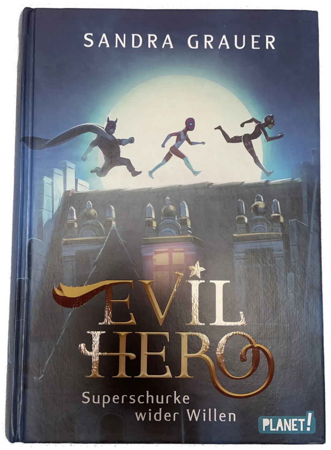 EVIL HERO - Superschurke wider Willen - Sandra Grauer  - Bild 1
