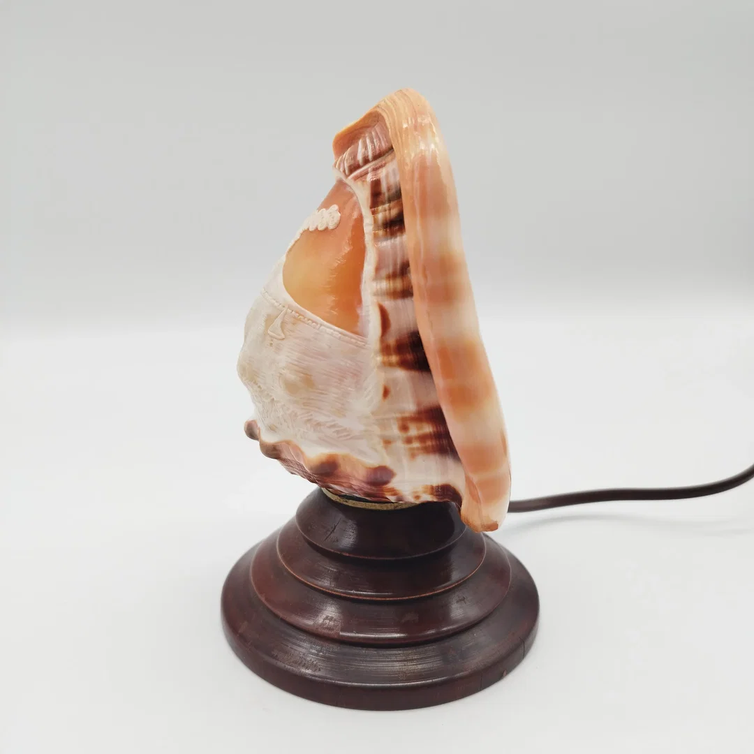 Antike italienische Muschellampe / Cameo-Shell-Akzentlampe – ca. 1920er Jahre – Bild 4