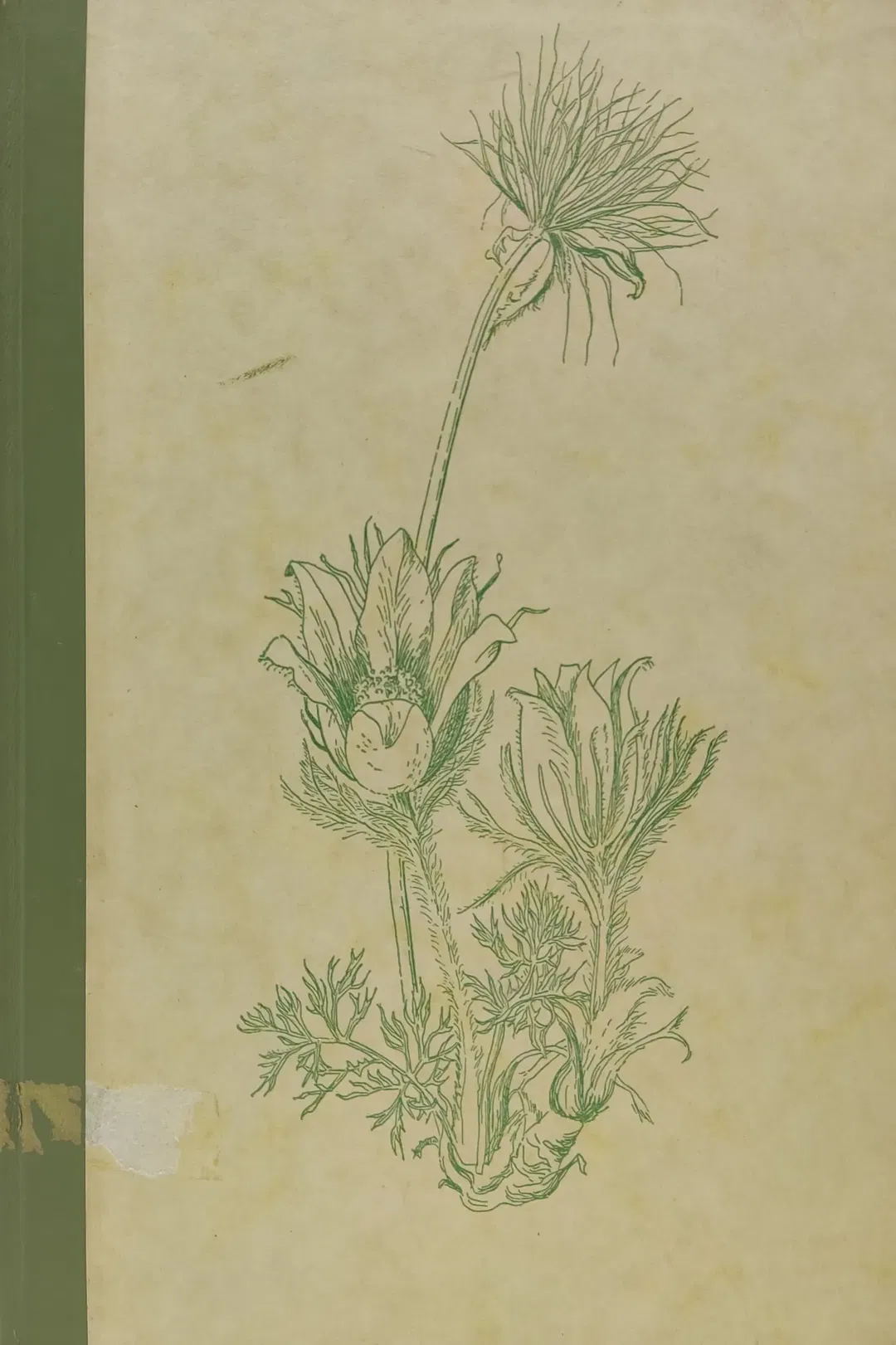 Blumen-Fibel - Zweiter Band - F. A. Herbig - Deutsche Buch-Gemeinschaft - Bild 2