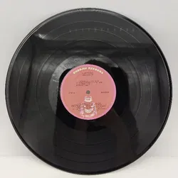 Langspielplatte - Jae Mason - Tender Man - Bild 3