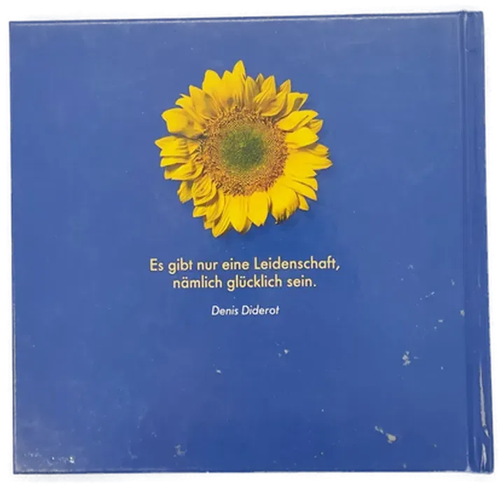 Buch 
