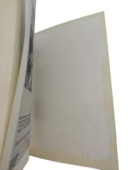 Sei nicht nett, sei echt! - Kelly Bryson - Bild 6