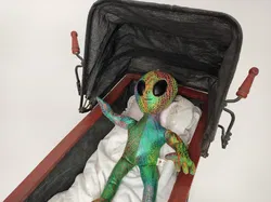 Vintage Puppen-Wagen, auch für Aliens geeignet - Bild 4