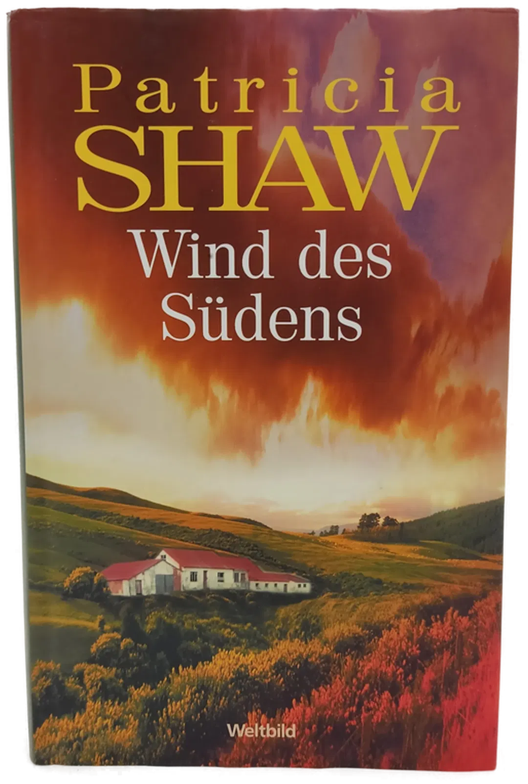 Wind des Südens - Patricia Shaw - Roman - Bild 2