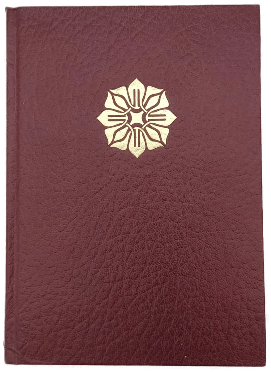 Zündpunkt 50 / Der Schrei nach Leben / Ein Hund für Tim / Das Geheimnis von Landfall - Bild 1