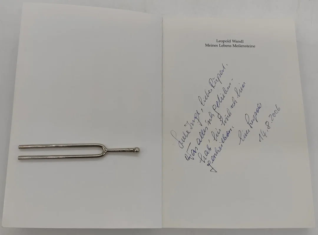 Buch "Meines Lebens MEILEN STEINE" von Leopold Wandl mit persönlicher Widmung des Künstlers – Bild 4