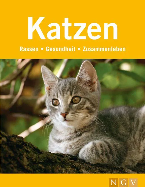 Katzen - Antje Breuer – Bild 1